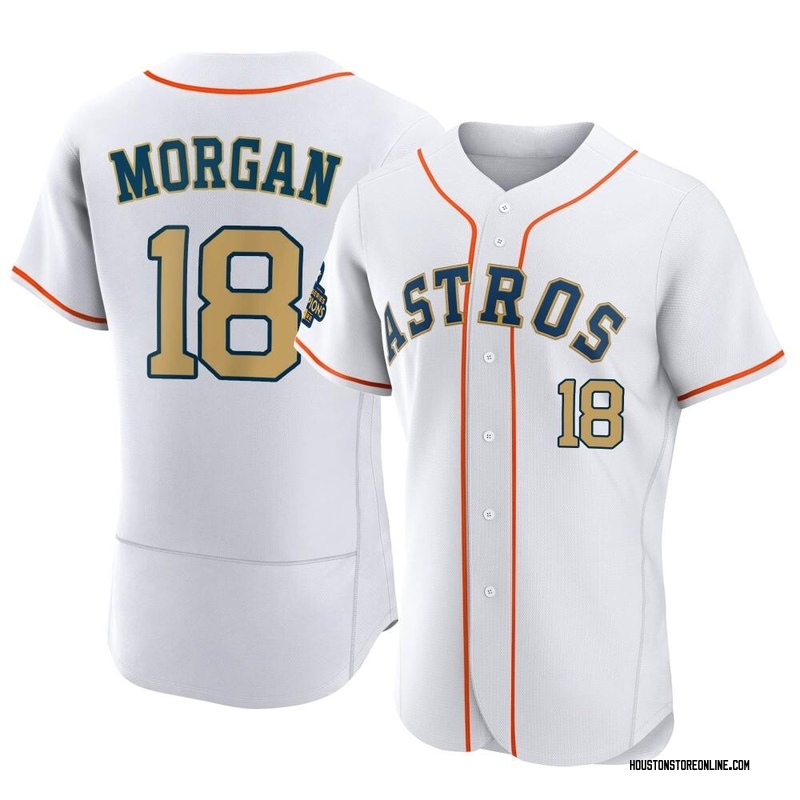 Joe Morgan Houston Astros Women's Backer Slim Fit T-Shirt - Ash